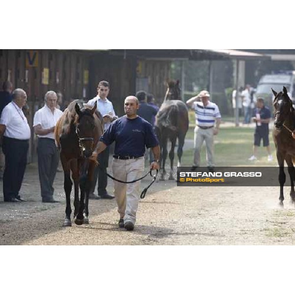 Moments and Emotions at SGA Selected Yearling Sale Settimo Milanese (MI), 16-17th sept.2011 ph.Stefano Grasso
