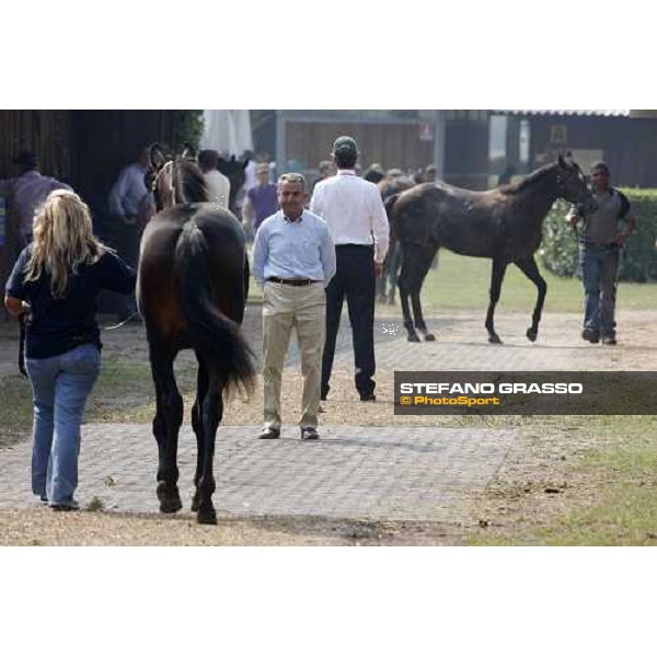 Moments and Emotions at SGA Selected Yearling Sale - Turner Settimo Milanese (MI), 16-17th sept.2011 ph.Stefano Grasso