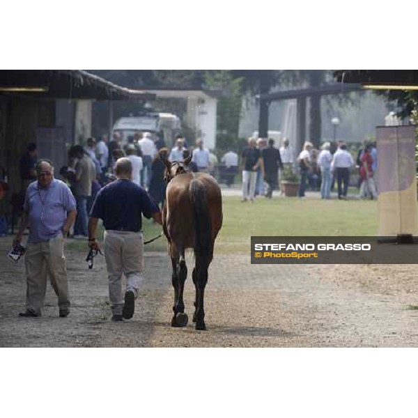 Moments and Emotions at SGA Selected Yearling Sale - Roberto Brogi Settimo Milanese (MI), 16-17th sept.2011 ph.Stefano Grasso