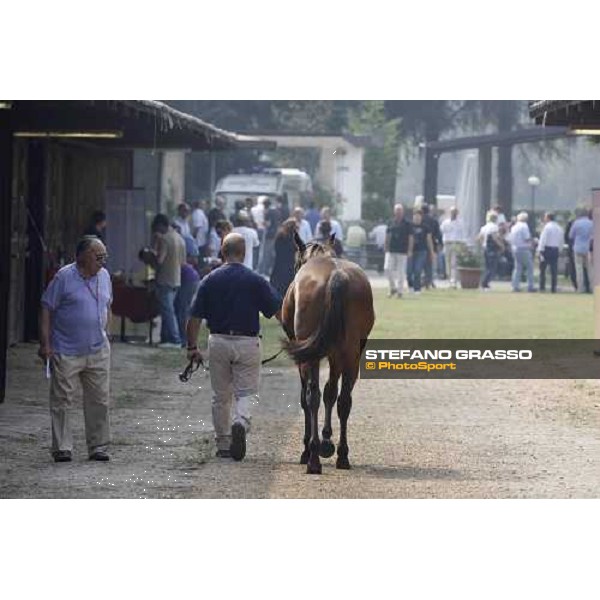 Moments and Emotions at SGA Selected Yearling Sale - Roberto Brogi Settimo Milanese (MI), 16-17th sept.2011 ph.Stefano Grasso