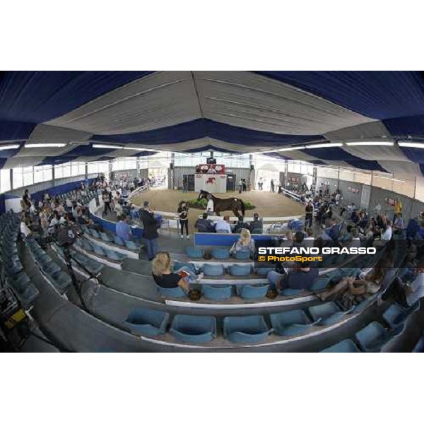 Moments and Emotions at SGA Selected Yearling Sale Settimo Milanese (MI), 16-17th sept.2011 ph.Stefano Grasso