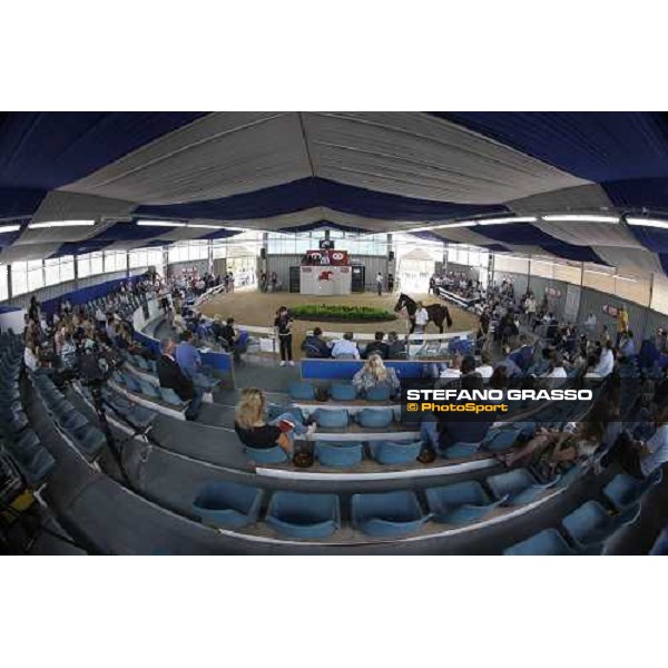 Moments and Emotions at SGA Selected Yearling Sale Settimo Milanese (MI), 16-17th sept.2011 ph.Stefano Grasso