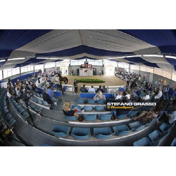 Moments and Emotions at SGA Selected Yearling Sale Settimo Milanese (MI), 16-17th sept.2011 ph.Stefano Grasso
