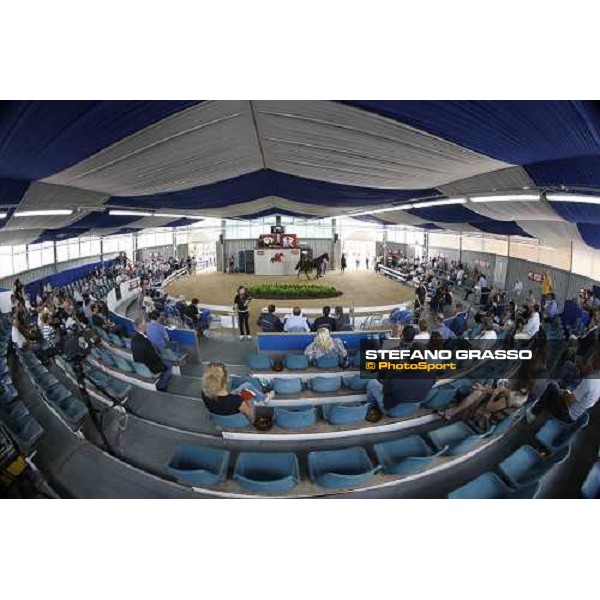 Moments and Emotions at SGA Selected Yearling Sale Settimo Milanese (MI), 16-17th sept.2011 ph.Stefano Grasso