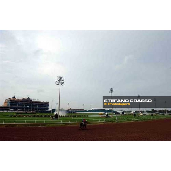 Grand Prairie racetrack Dallas, Gran Prairie racetrack 26th october 2004 ph. Stefano Grasso