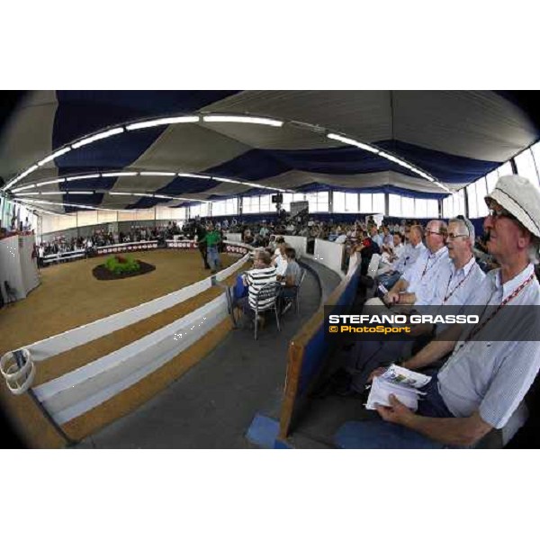 Moments and Emotions at SGA Selected Yearling Sale - Settimo Milanese (MI), 16-17th sept.2011 ph.Stefano Grasso