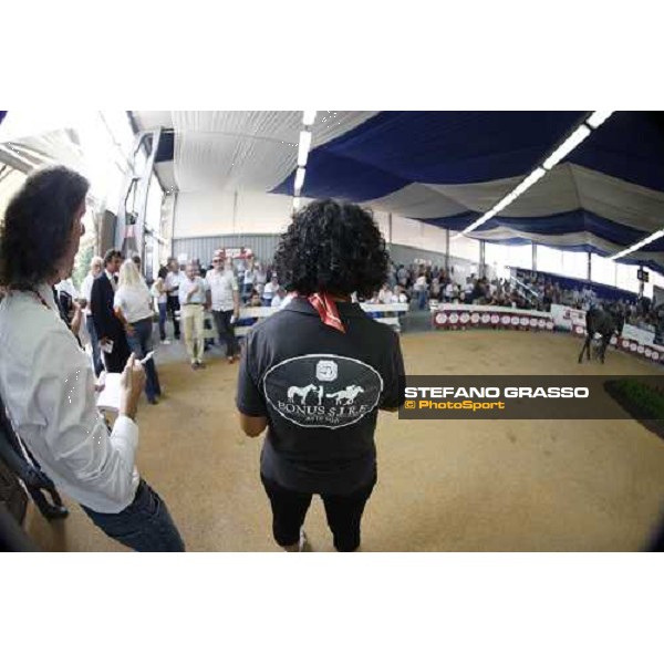 Moments and Emotions at SGA Selected Yearling Sale Settimo Milanese (MI), 16-17th sept.2011 ph.Stefano Grasso