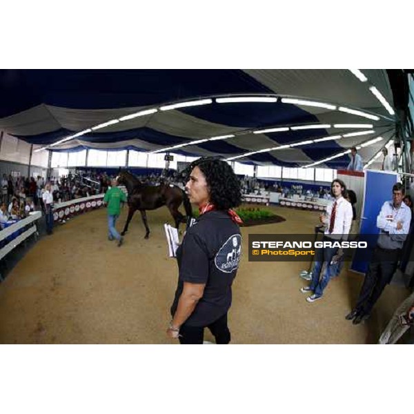 Moments and Emotions at SGA Selected Yearling Sale Settimo Milanese (MI), 16-17th sept.2011 ph.Stefano Grasso