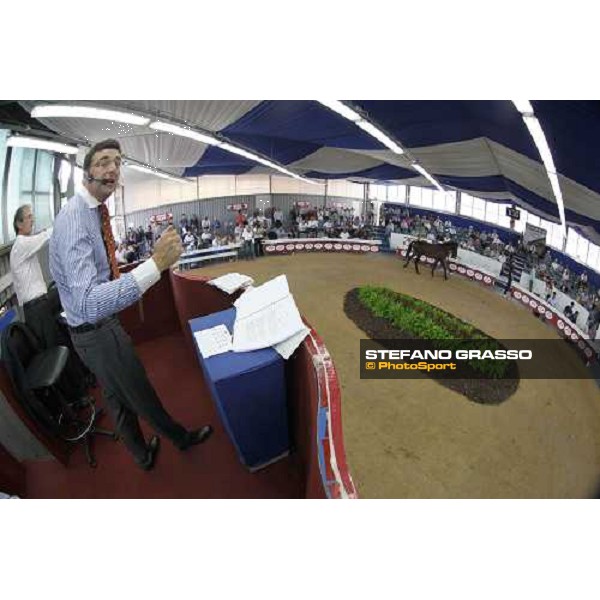 Moments and Emotions at SGA Selected Yearling Sale - Andrea Zanoboni Settimo Milanese (MI), 16-17th sept.2011 ph.Stefano Grasso