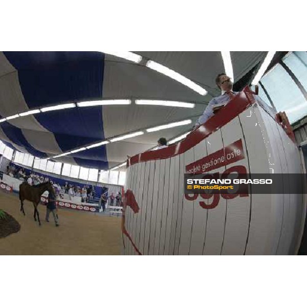 Moments and Emotions at SGA Selected Yearling Sale Settimo Milanese (MI), 16-17th sept.2011 ph.Stefano Grasso