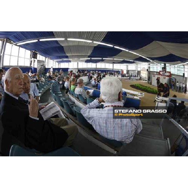 Moments and Emotions at SGA Selected Yearling Sale - avv.Pio Bruni Settimo Milanese (MI), 16-17th sept.2011 ph.Stefano Grasso