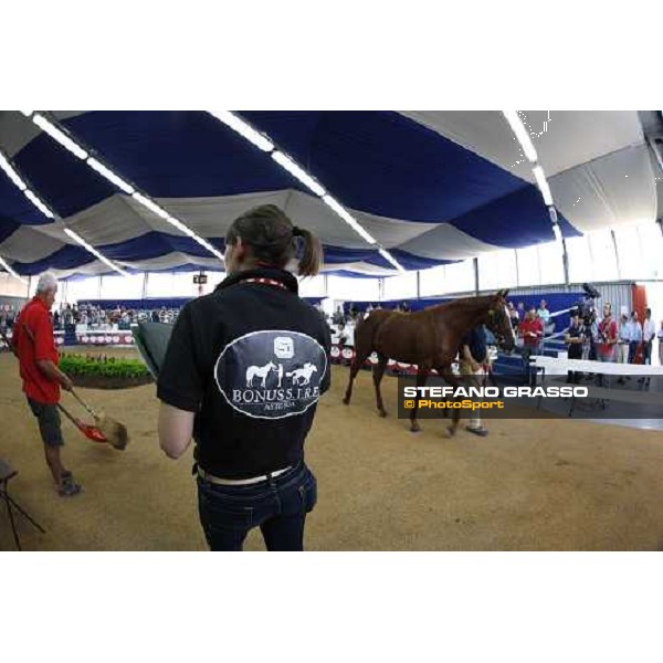 Moments and Emotions at SGA Selected Yearling Sale Settimo Milanese (MI), 16-17th sept.2011 ph.Stefano Grasso