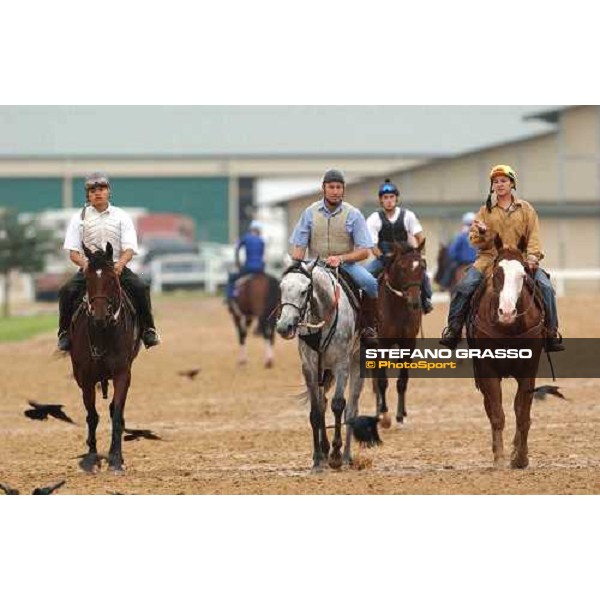 morning works Dallas, Gran Prairie racetrack 26th october 2004 ph. Stefano Grasso