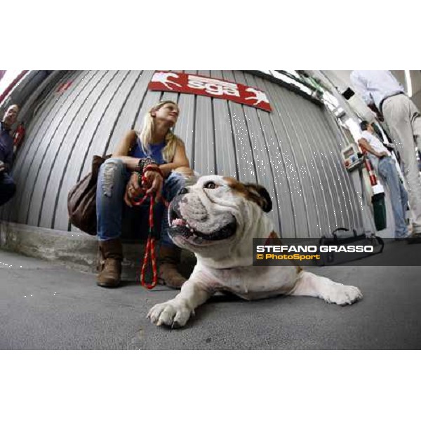 Moments and Emotions at SGA Selected Yearling Sale Settimo Milanese (MI), 16-17th sept.2011 ph.Stefano Grasso