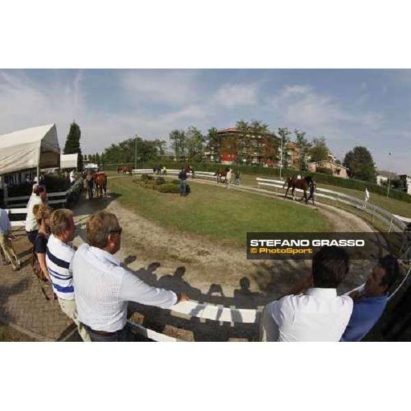 Moments and Emotions at SGA Selected Yearling Sale Settimo Milanese (MI), 16-17th sept.2011 ph.Stefano Grasso