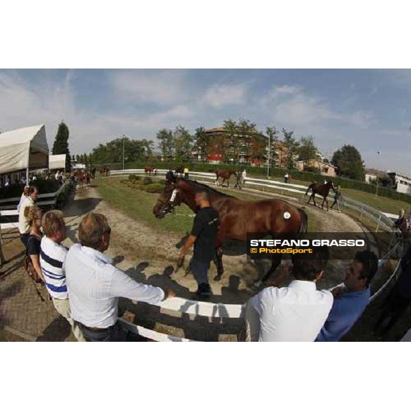 Moments and Emotions at SGA Selected Yearling Sale Settimo Milanese (MI), 16-17th sept.2011 ph.Stefano Grasso