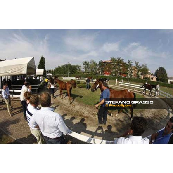 Moments and Emotions at SGA Selected Yearling Sale Settimo Milanese (MI), 16-17th sept.2011 ph.Stefano Grasso