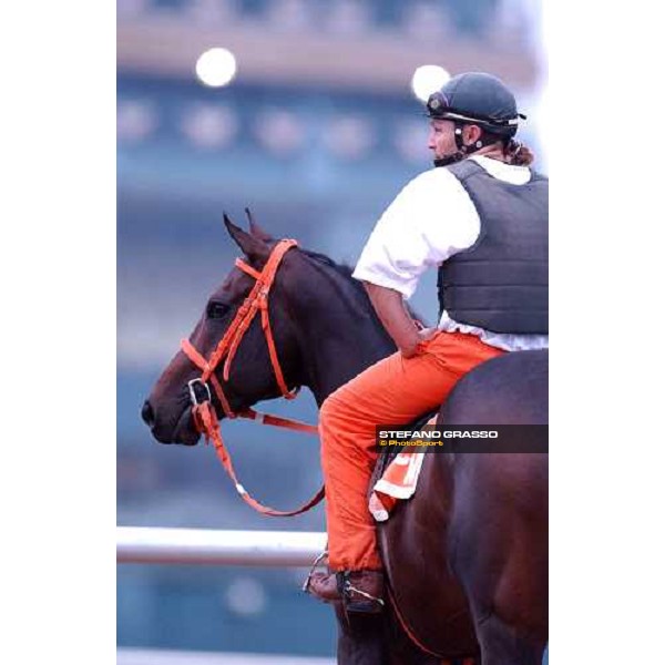 waiting for morning works Dallas, Gran Prairie racetrack 26th october 2004 ph. Stefano Grasso
