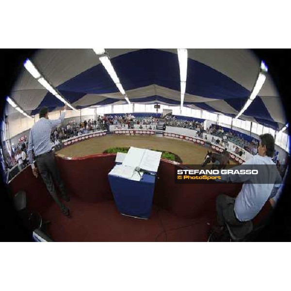 Moments and Emotions at SGA Selected Yearling Sale - Andrea Zanoboni and Franco Raimondi Settimo Milanese (MI), 16-17th sept.2011 ph.Stefano Grasso
