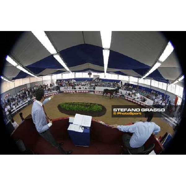 Moments and Emotions at SGA Selected Yearling Sale - Andrea Zanoboni and Franco Raimondi Settimo Milanese (MI), 16-17th sept.2011 ph.Stefano Grasso