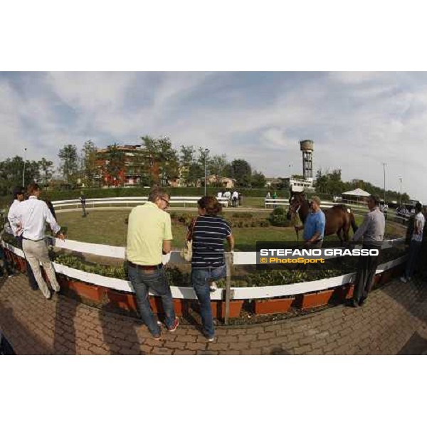 Moments and Emotions at SGA Selected Yearling Sale Settimo Milanese (MI), 16-17th sept.2011 ph.Stefano Grasso