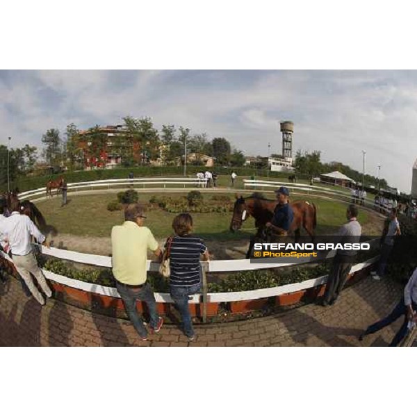 Moments and Emotions at SGA Selected Yearling Sale Settimo Milanese (MI), 16-17th sept.2011 ph.Stefano Grasso