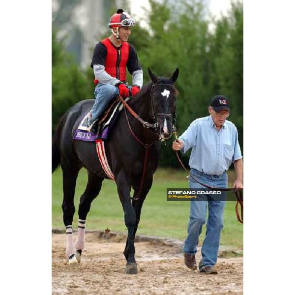Roses in May runner of John Deere Breeders\' Cup turf Dallas, Gran Prairie racetrack 26th october 2004 ph. Stefano Grasso