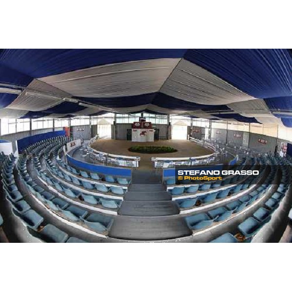 Moments and Emotions at SGA Selected Yearling Sale - Settimo Milanese (MI), 16-17th sept.2011 ph.Stefano Grasso