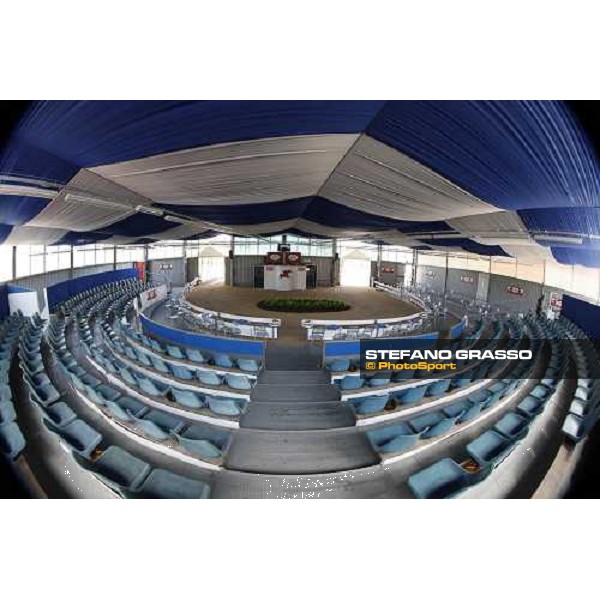 Moments and Emotions at SGA Selected Yearling Sale Settimo Milanese (MI), 16-17th sept.2011 ph.Stefano Grasso