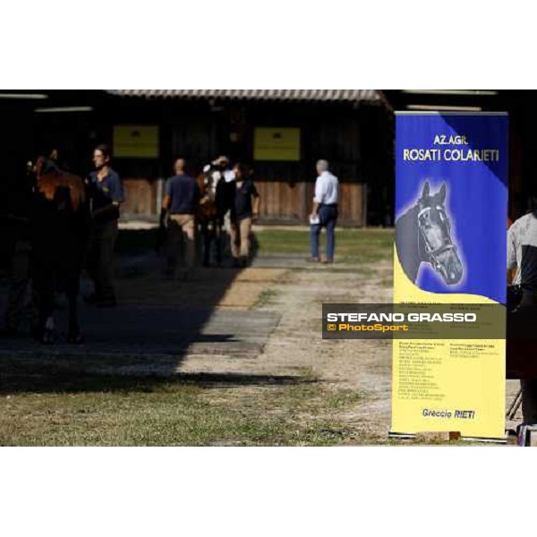 Moments and Emotions at SGA Selected Yearling Sale Settimo Milanese (MI), 16-17th sept.2011 ph.Stefano Grasso