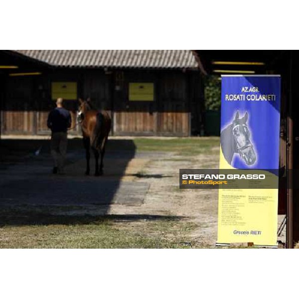 Moments and Emotions at SGA Selected Yearling Sale Settimo Milanese (MI), 16-17th sept.2011 ph.Stefano Grasso