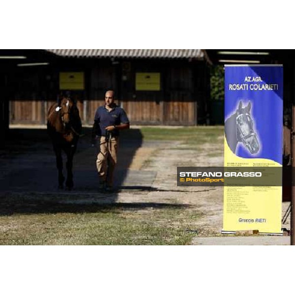 Moments and Emotions at SGA Selected Yearling Sale Settimo Milanese (MI), 16-17th sept.2011 ph.Stefano Grasso