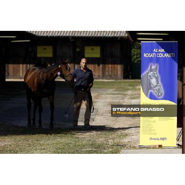 Moments and Emotions at SGA Selected Yearling Sale Settimo Milanese (MI), 16-17th sept.2011 ph.Stefano Grasso