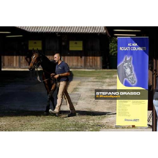 Moments and Emotions at SGA Selected Yearling Sale Settimo Milanese (MI), 16-17th sept.2011 ph.Stefano Grasso
