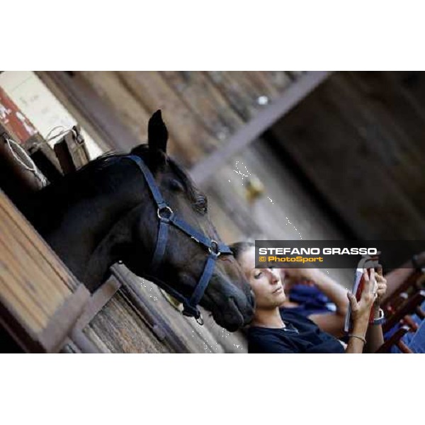 Moments and Emotions at SGA Selected Yearling Sale Settimo Milanese (MI), 16-17th sept.2011 ph.Stefano Grasso