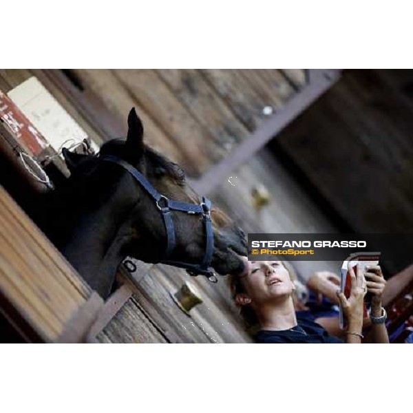 Moments and Emotions at SGA Selected Yearling Sale Settimo Milanese (MI), 16-17th sept.2011 ph.Stefano Grasso