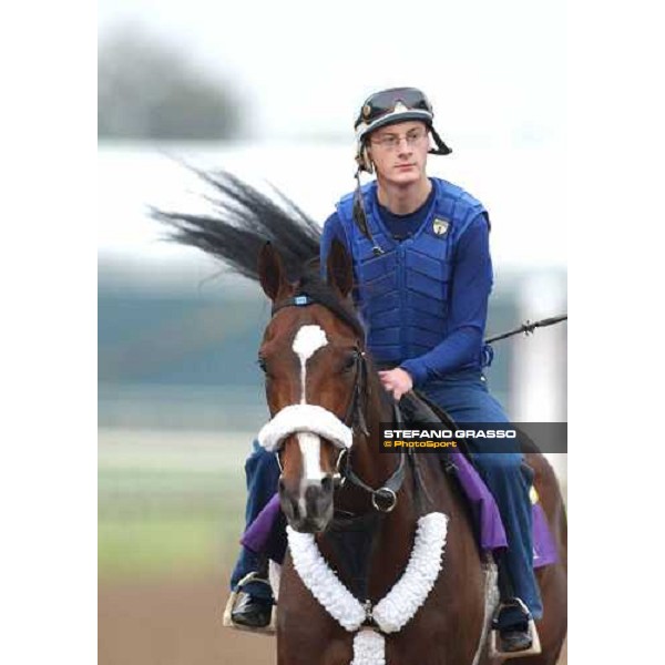 Magistretti runner of John Deere Breeders\' Cup Turf during morning works Dallas, Gran Prairie racetrack 26th october 2004 ph. Stefano Grasso