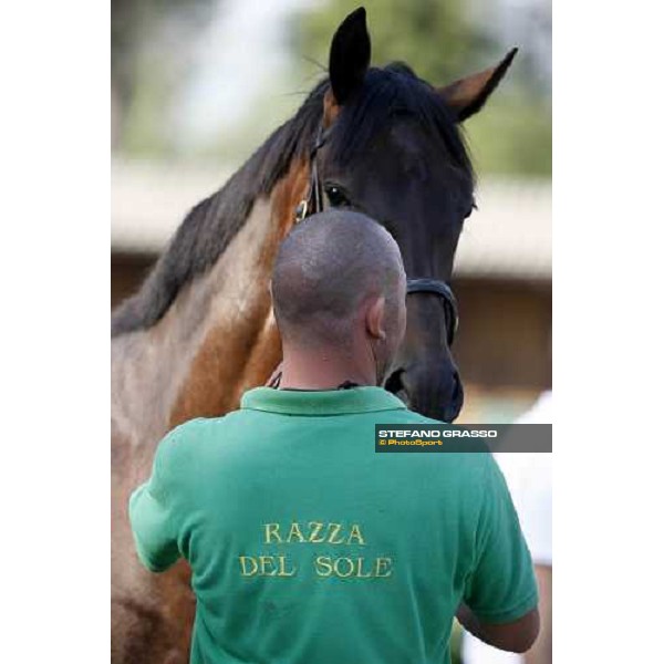 Moments and Emotions at SGA Selected Yearling Sale Settimo Milanese (MI), 16-17th sept.2011 ph.Stefano Grasso