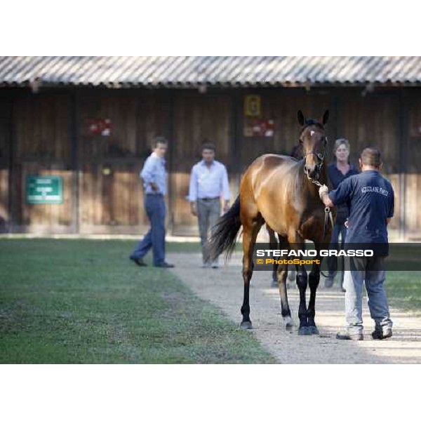 Moments and Emotions at SGA Selected Yearling Sale Settimo Milanese (MI), 16-17th sept.2011 ph.Stefano Grasso