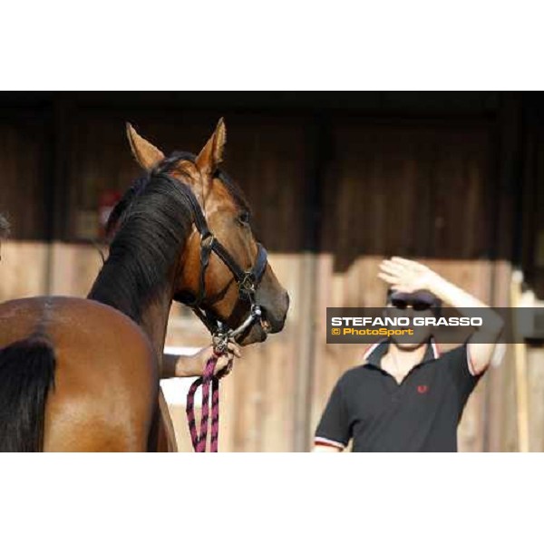 Moments and Emotions at SGA Selected Yearling Sale Settimo Milanese (MI), 16-17th sept.2011 ph.Stefano Grasso