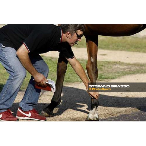 Moments and Emotions at SGA Selected Yearling Sale Settimo Milanese (MI), 16-17th sept.2011 ph.Stefano Grasso