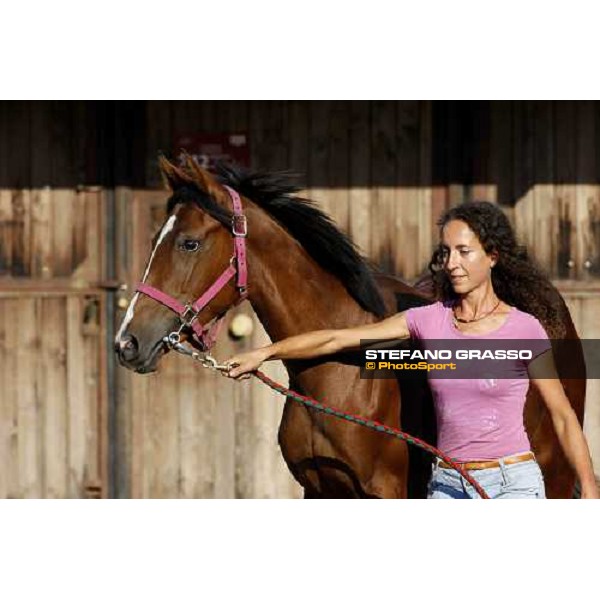 Moments and Emotions at SGA Selected Yearling Sale Settimo Milanese (MI), 16-17th sept.2011 ph.Stefano Grasso