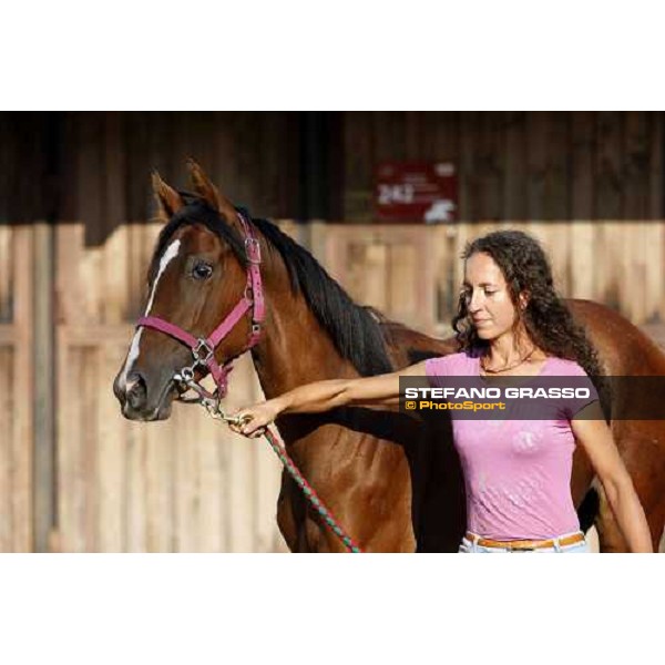 Moments and Emotions at SGA Selected Yearling Sale Settimo Milanese (MI), 16-17th sept.2011 ph.Stefano Grasso