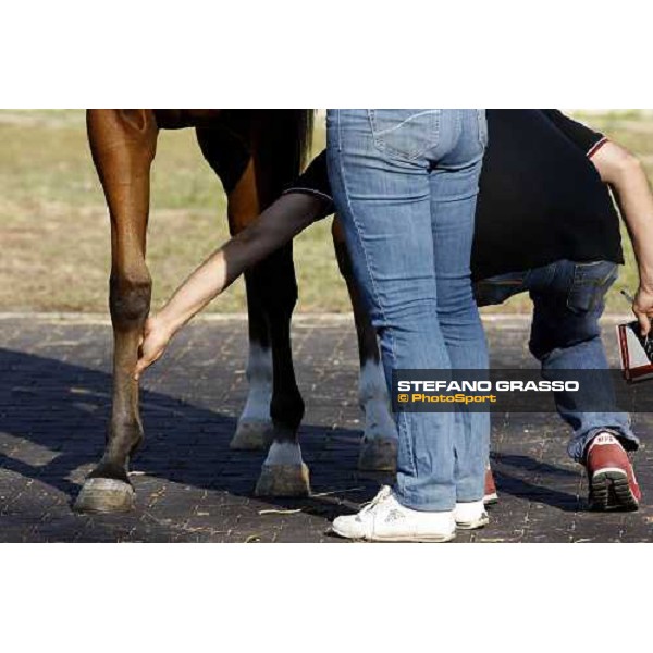 Moments and Emotions at SGA Selected Yearling Sale Settimo Milanese (MI), 16-17th sept.2011 ph.Stefano Grasso