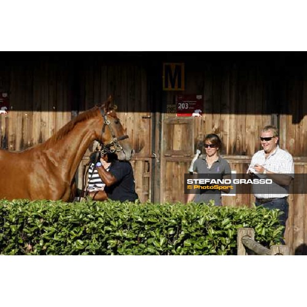 Moments and Emotions at SGA Selected Yearling Sale - Mick Buckley \' Co. Settimo Milanese (MI), 16-17th sept.2011 ph.Stefano Grasso