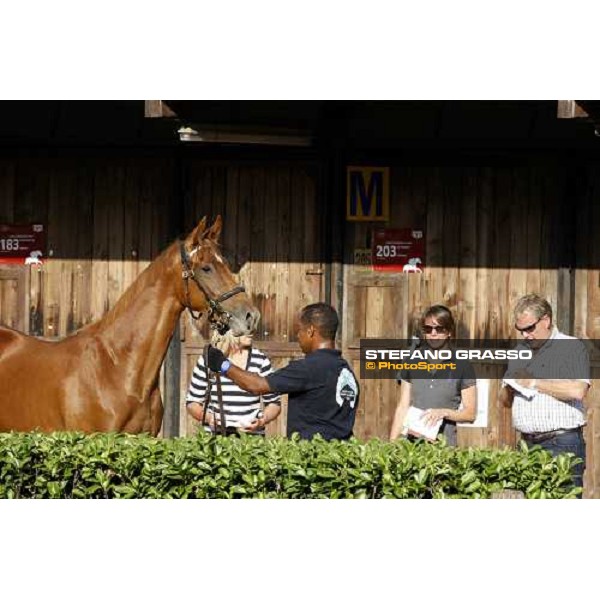 Moments and Emotions at SGA Selected Yearling Sale - Mick Buckley \' Co. Settimo Milanese (MI), 16-17th sept.2011 ph.Stefano Grasso
