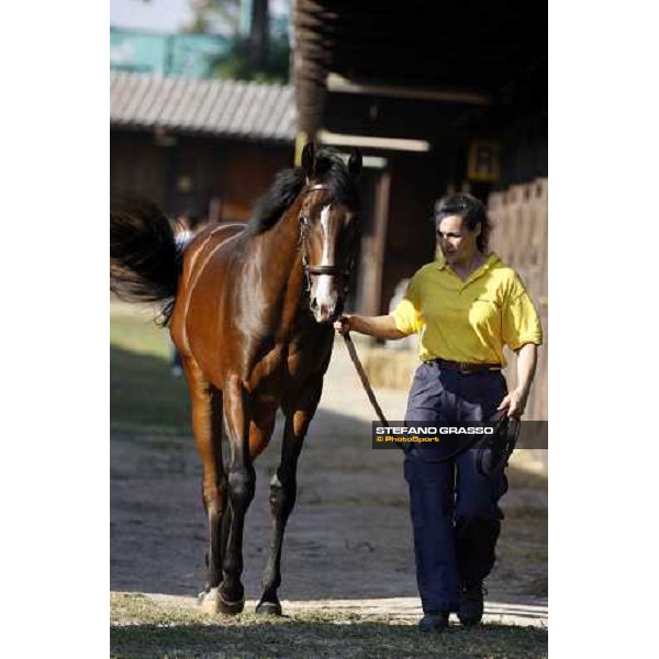 Moments and Emotions at SGA Selected Yearling Sale - n.103 Montjeu and Di Moi Oui sold at Euro 120.000 Settimo Milanese (MI), 16-17th sept.2011 ph.Stefano Grasso