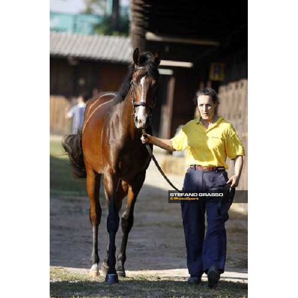 Moments and Emotions at SGA Selected Yearling Sale - n.103 Montjeu and Di Moi Oui sold at Euro 120.000 Settimo Milanese (MI), 16-17th sept.2011 ph.Stefano Grasso