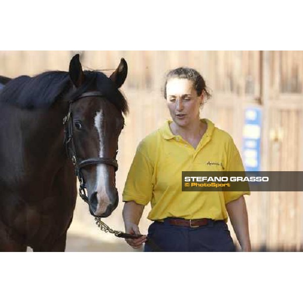 Moments and Emotions at SGA Selected Yearling Sale - n.103 Montjeu and Di Moi Oui sold at Euro 120.000 Settimo Milanese (MI), 16-17th sept.2011 ph.Stefano Grasso