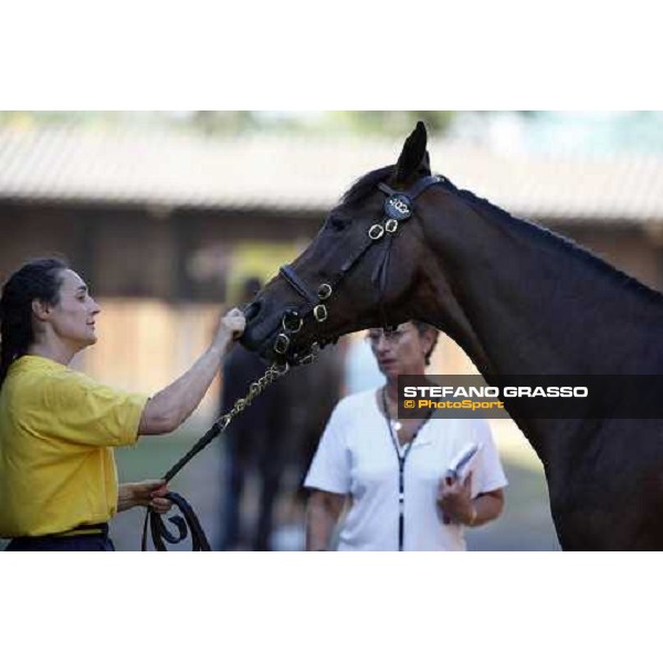 Moments and Emotions at SGA Selected Yearling Sale - n.103 Montjeu and Di Moi Oui sold at Euro 120.000 Settimo Milanese (MI), 16-17th sept.2011 ph.Stefano Grasso